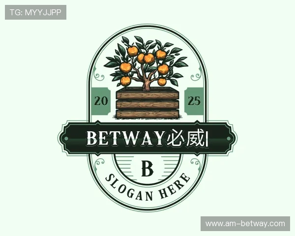 关于BETWAY必威